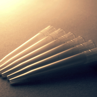 PIPET UÇLARI
